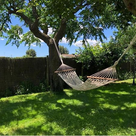 Apartment With Private Pool And Garden San Martín Sarroca Exteriör bild