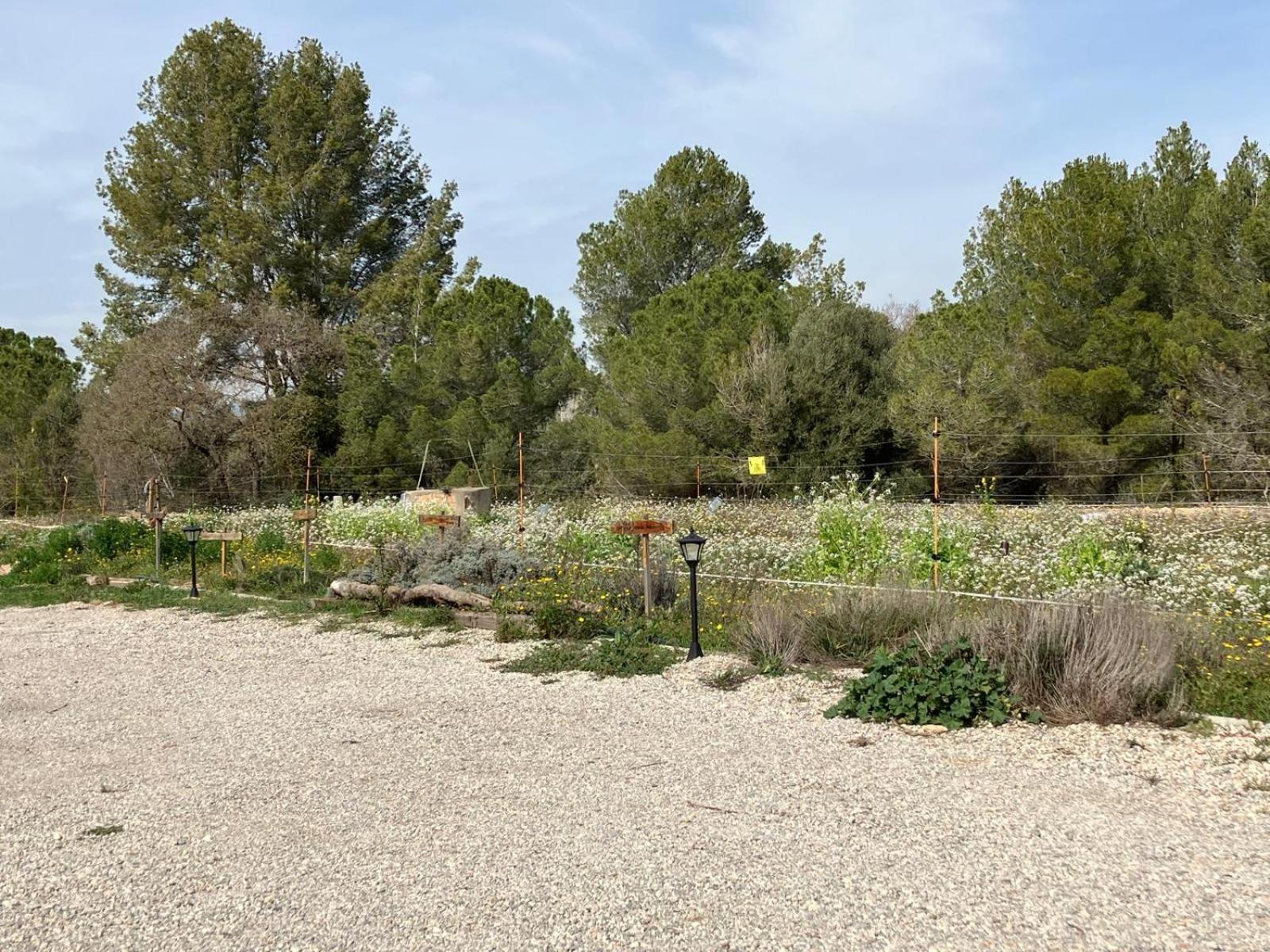 Apartment With Private Pool And Garden San Martín Sarroca Exteriör bild