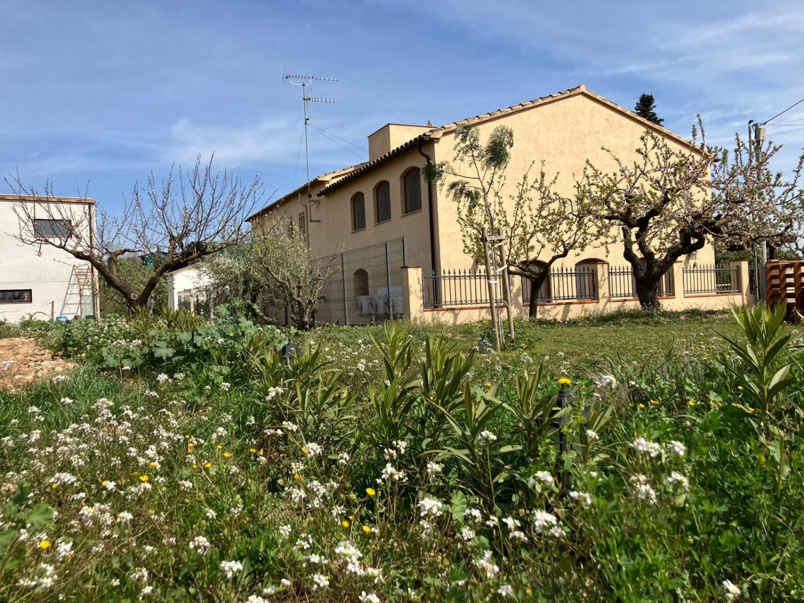 Apartment With Private Pool And Garden San Martín Sarroca Exteriör bild
