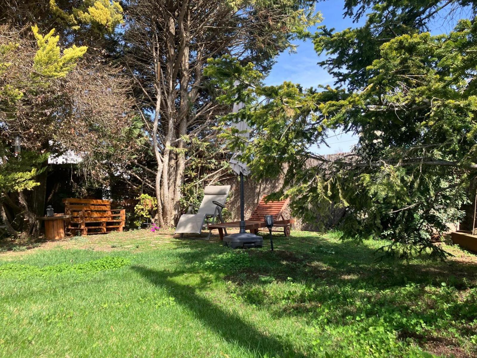Apartment With Private Pool And Garden San Martín Sarroca Exteriör bild