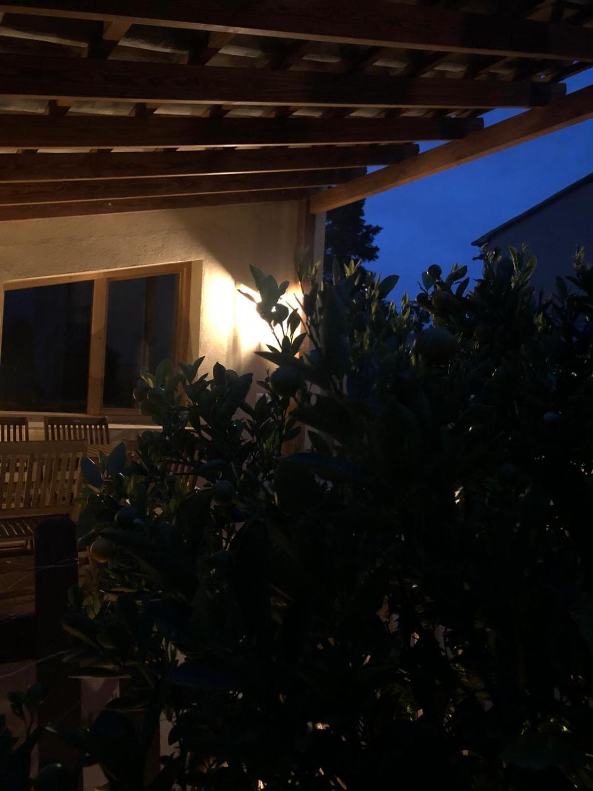 Apartment With Private Pool And Garden San Martín Sarroca Exteriör bild